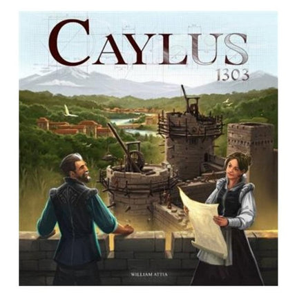 bordspellen-caylus-1303