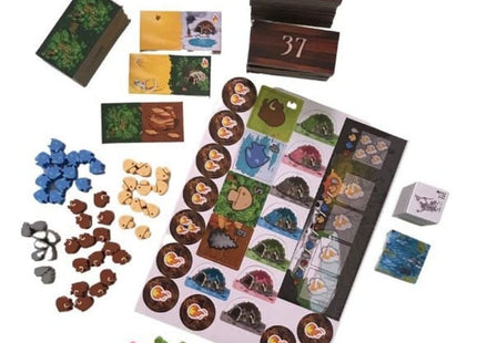 bordspellen-kingdomino-origins (1)