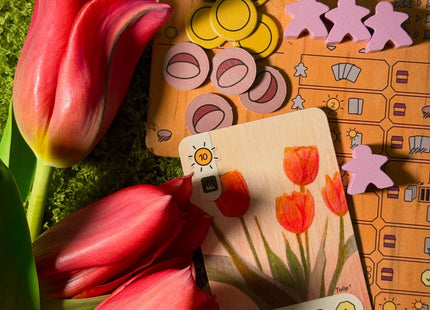 Countryside - Board Game (NL) [PRE ORDER]