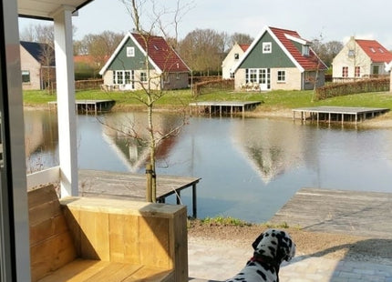 dsv-spelletjesweekend-eigen-wijze-chalet-lodge-4p