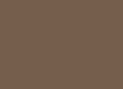 miniatuur-verf-vallejo-air-camouflage-pale-brown-17-ml